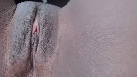 pixel online show from 11.27.25