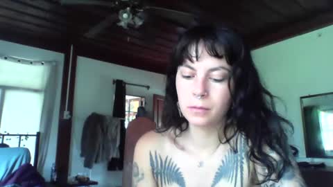 pixiecatfairy online show from 11.18.25