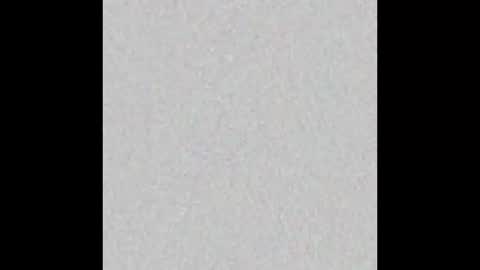 Snapshot of pladplad chatting on 02.16.25 PLADPLAS online show from 02.16.25