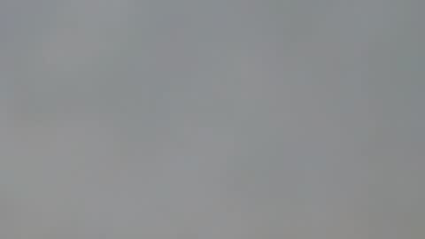 Snapshot of playboypetit chatting on 01.15.25 playboypetit online show from 01.15.25