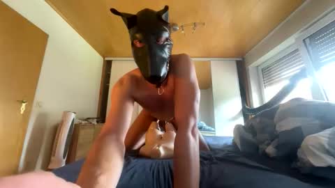 playdog123 online show from 09.21.25