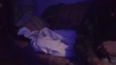 playerpleasure online show from 04.04.26