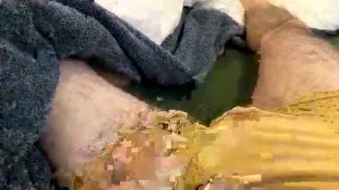 playful_hon online show from 02.01.26