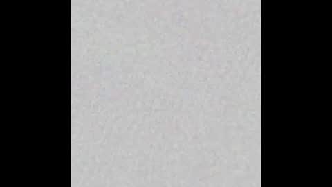 Snapshot of plsdominate chatting on 03.01.26 plsdominate online show from 03.01.26