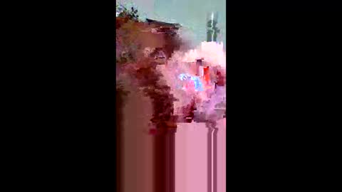 plumber336652 online show from 05.31.26