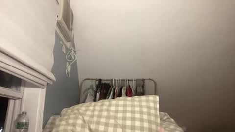 stariette online show from 02.15.26