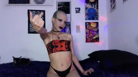    online show from 03.16.26