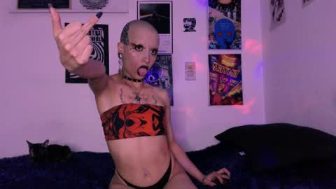    online show from 04.24.26