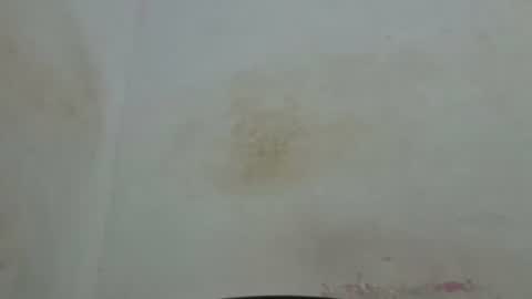 poli online show from 04.04.26