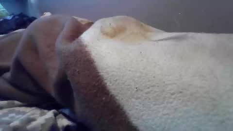 Snapshot of polishbigdick17 chatting on 10.29.25 polishbigdick17 online show from 10.29.25