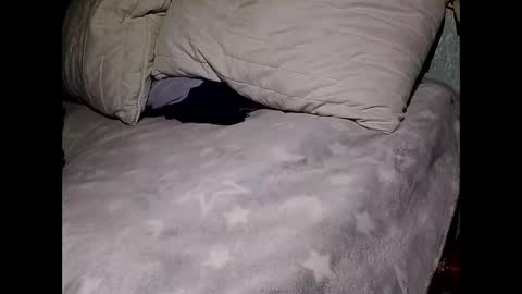 pollachico online show from 11.28.25