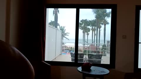 Snapshot of pollexxx66 chatting on 12.16.25 Paul online show from 12.16.25