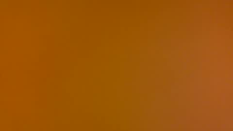 Poprigyn53535 online show from 09.14.25