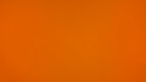 Poprigyn53535 online show from 02.22.26