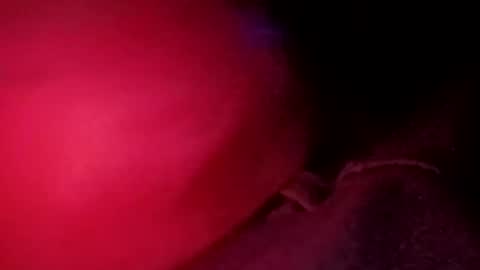 porkchop696974 online show from 02.20.26