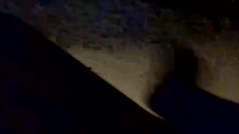 Snapshot of porkchopak chatting on 09.17.25 porkchopak online show from 09.17.25