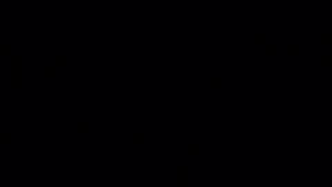 porkynerd online show from 10.29.25