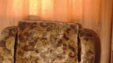 porn88s online show from 05.15.26