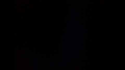 shane online show from 02.02.25