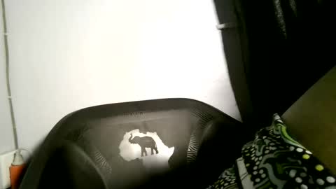 luna online show from 04.02.26