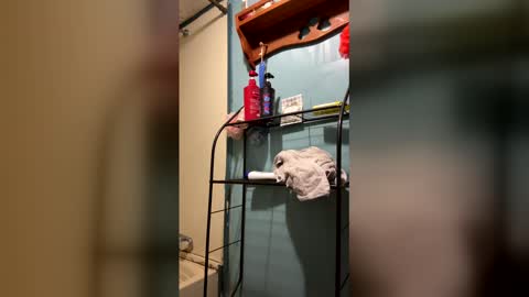 Snapshot of pplease669283 chatting on 03.03.26 pplease669283 online show from 03.03.26