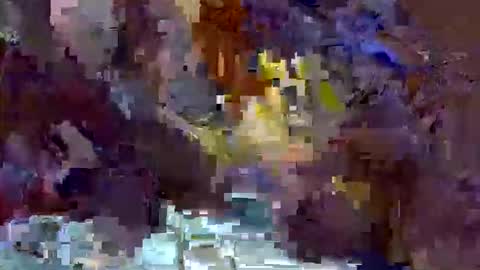 precious_nesh online show from 05.13.26