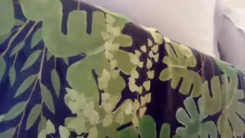 Snapshot of pretty_boy_jack chatting on 01.08.25 pretty_boy_jack online show from 01.08.25