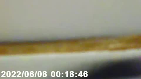 Snapshot of pretty_boy_jack chatting on 02.12.25 pretty_boy_jack online show from 02.12.25