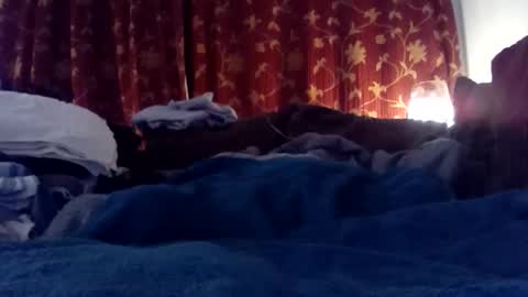 Snapshot of pretty_boy_jack chatting on 02.25.25 pretty_boy_jack online show from 02.25.25