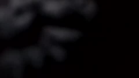 Snapshot of pretty_boy_jack chatting on 02.28.25 pretty_boy_jack online show from 02.28.25