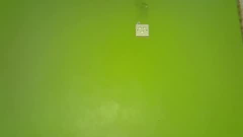 Snapshot of pretty_g2 chatting on 12.01.25 pretty_g2 online show from 12.01.25