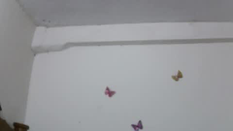 Rose online show from 03.15.26