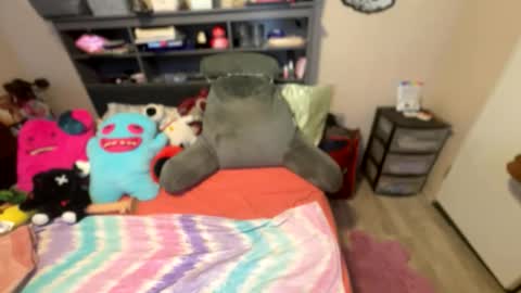 stacy online show from 02.23.26