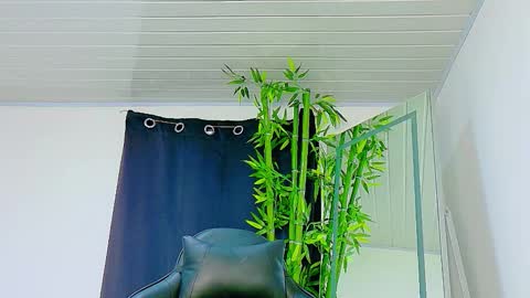 Snapshot of prettybunnies08 chatting on 11.27.25 Enzo Denis online show from 11.27.25