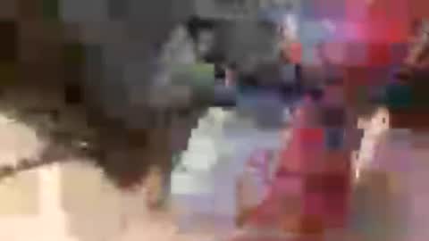 prettycock1981 online show from 07.05.26