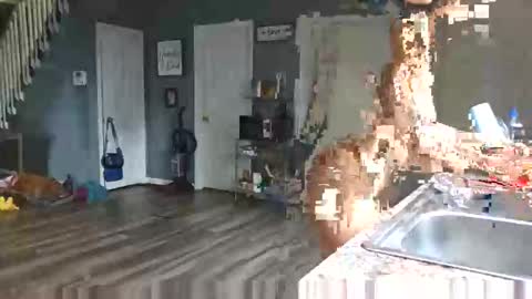 Pink Pussy69 online show from 04.15.26