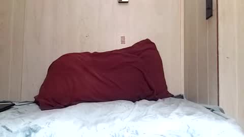 prettysolidd7 online show from 12.02.24