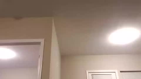 prettysolidd7 online show from 01.07.25