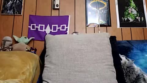 prettysolidd7 online show from 01.27.25