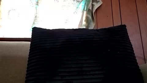 prettysolidd7 online show from 02.15.25