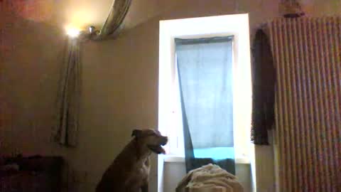 BBW facial slave online show from 01.08.26