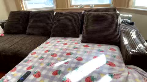 Snapshot of princ3ssarii chatting on 12.05.25 Princess Arii online show from 12.05.25