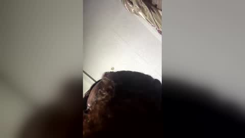 princessaxs online show from 04.02.26