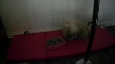 Snapshot of princesskimami chatting on 10.25.25 princesskimami online show from 10.25.25