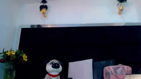 priscilarainbow online show from 06.11.26