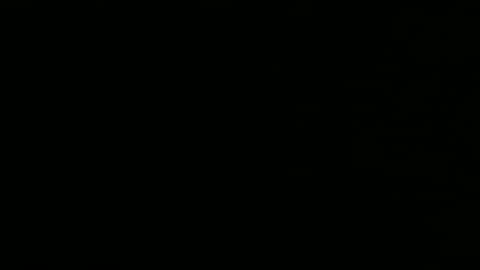 privinicy online show from 02.01.26