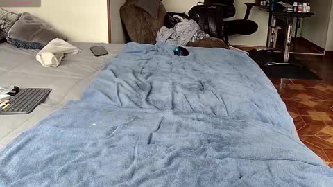 Snapshot of probardetodo chatting on 02.01.26 Probardetodo independent model online show from 02.01.26