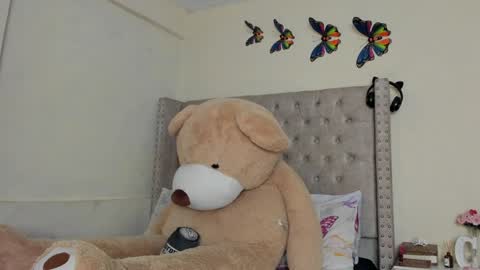 Snapshot of profanared chatting on 01.29.25 Profana Red online show from 01.29.25