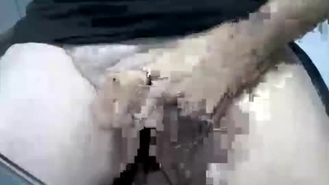 psfunman online show from 02.16.25