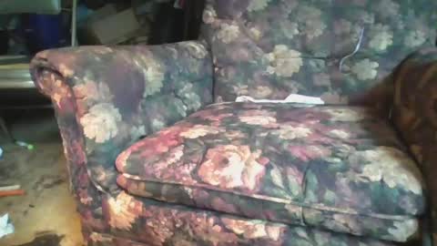 pspee313 online show from 06.21.26